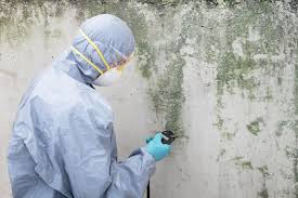 Best Comprehensive Air Testing for Mold Contaminants  in Yelm, WA